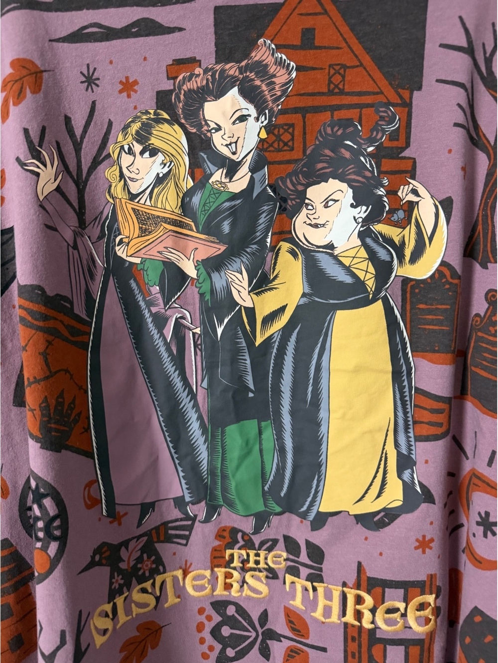 Disney Short Sleeve Crew Neck "The sisters three" Graphic T-Shirt Size 2X - Picture 5 of 7